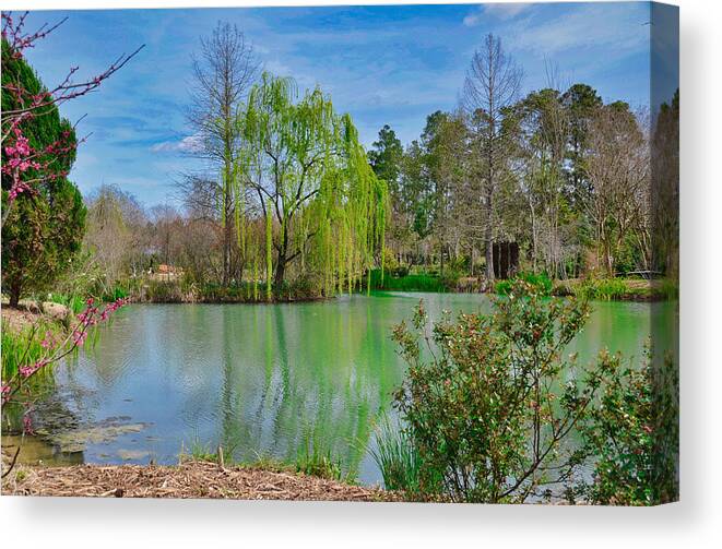 Lake Canvas Print featuring the photograph Spring Willow by Linda Brown