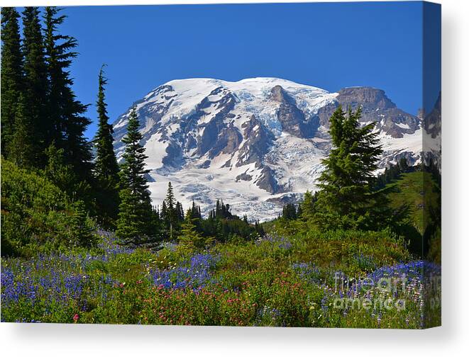 Spring Canvas Print featuring the photograph Springtime at Paradise 1 by Frank Larkin