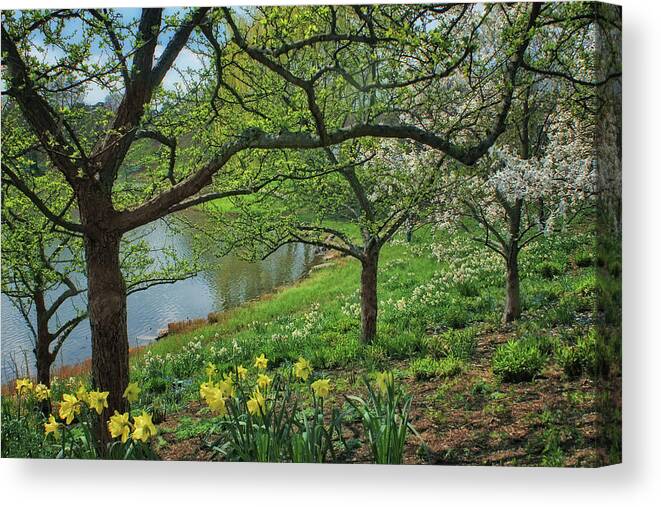 Chicago Canvas Print featuring the photograph Springtime in Chicago by Nikolyn McDonald