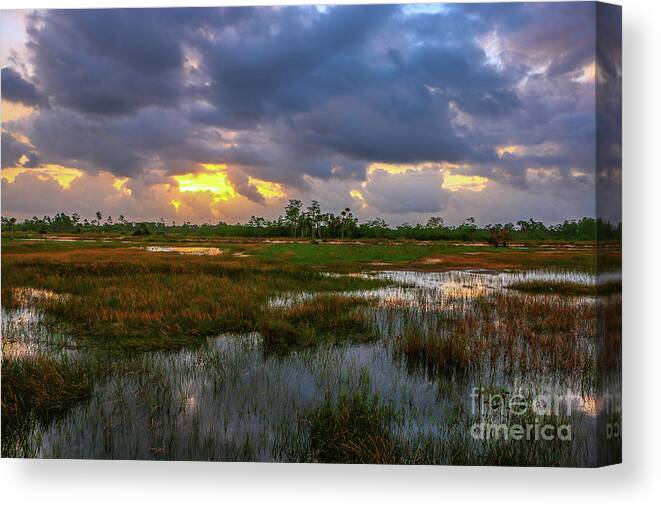 Storm Canvas Print featuring the photograph Srormy Marsh at Pine Glades by Tom Claud