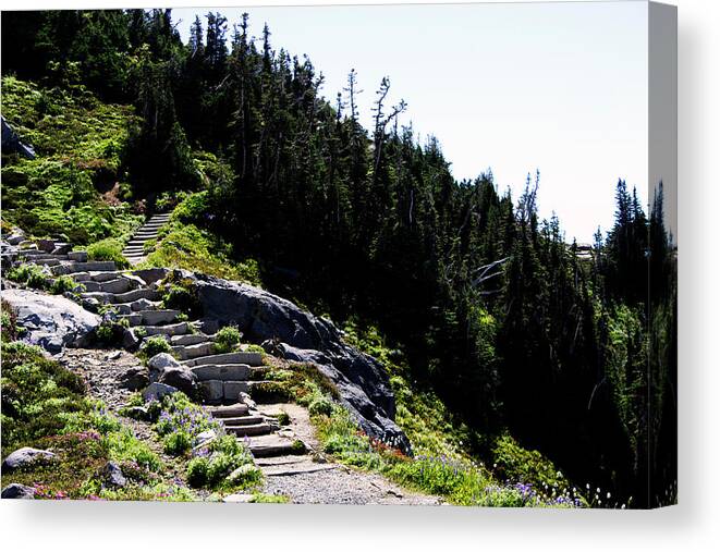 Mount Rainier Canvas Print featuring the photograph Stairs Along Skyline Trail by Edward Hawkins II