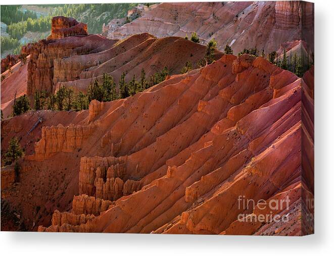 Utah Canvas Print featuring the photograph Stairway to Heaven by Doug Sturgess