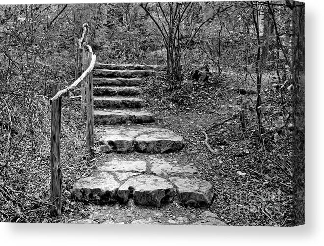 Nature Canvas Print featuring the photograph Stairway to Nature by Gary Richards
