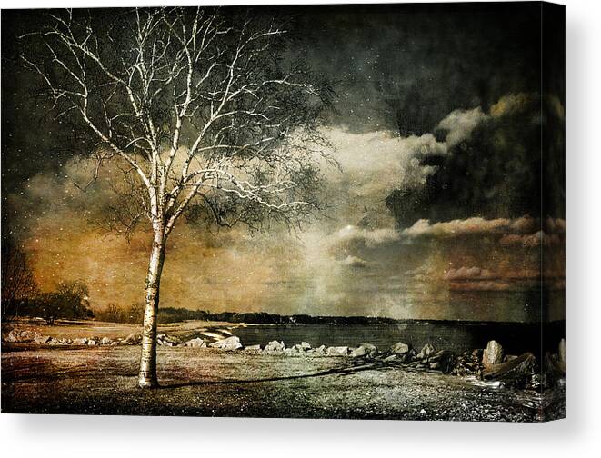 Stand Strong Canvas Print featuring the photograph Stand Strong by Susan McMenamin