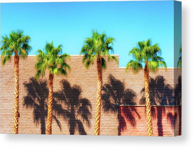 Palm Trees Canvas Print featuring the photograph Standing Tall by Dee Browning