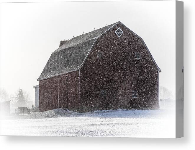 Barn Canvas Print featuring the photograph Standing Tall in the Snow by Joann Long