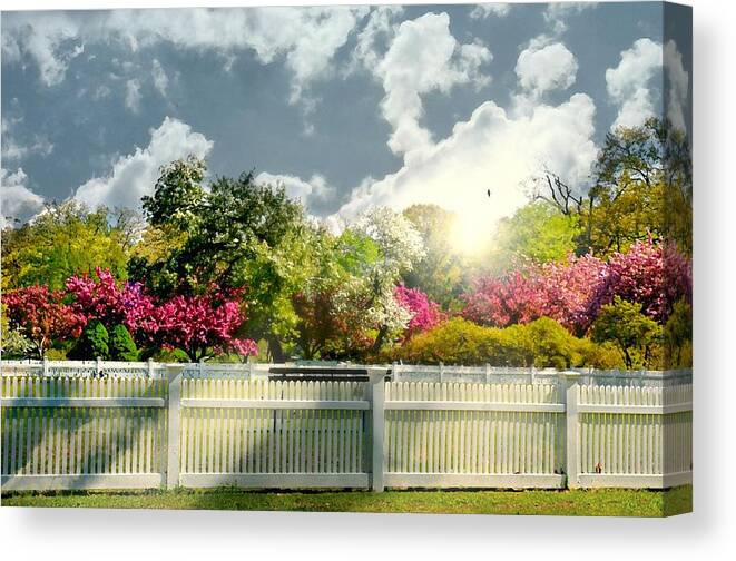 Landscape Canvas Print featuring the photograph Starting Now by Diana Angstadt