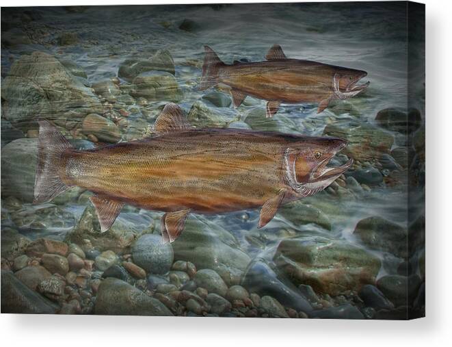 Art Canvas Print featuring the photograph Steelhead Trout Fall Migration by Randall Nyhof