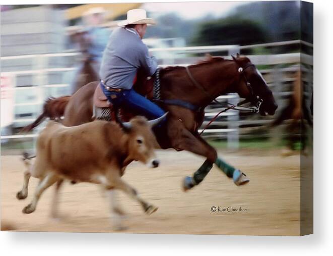 Steer Wrestling Canvas Print featuring the photograph Steer Wrestling Dilemma by Kae Cheatham