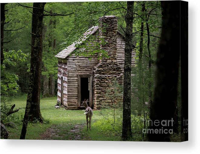 Cabin Canvas Print featuring the photograph Step Back in Time by Andrea Silies