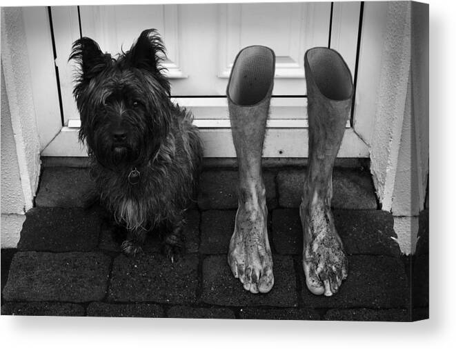Humour Canvas Print featuring the photograph Step Inside by Paul Gibney