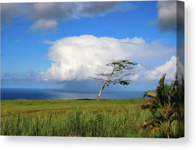 Hawaii Canvas Print featuring the photograph Storm in Paradise by Matt Sexton