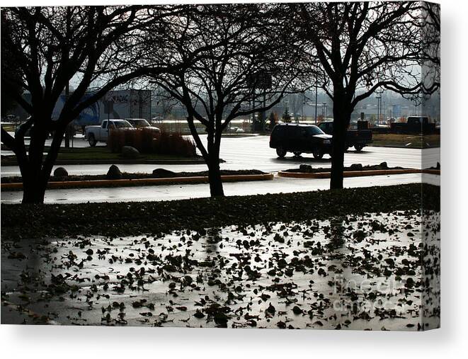 Rain Canvas Print featuring the photograph Stormy Reflection by Linda Shafer