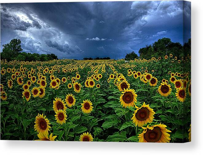 Storm Clouds Coming Canvas Print featuring the photograph Stormy Skies Coming by Karen McKenzie McAdoo