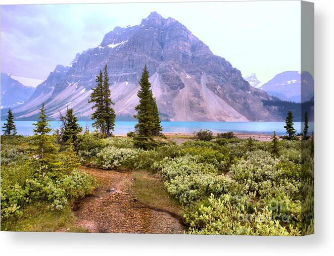  Canvas Print featuring the photograph Streaming Into Bow Lake by Adam Jewell