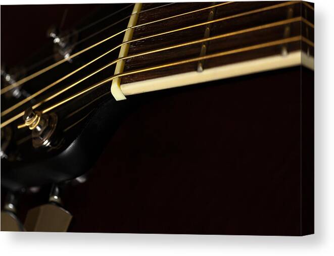 Strings Canvas Print featuring the photograph Strings by Karol Livote