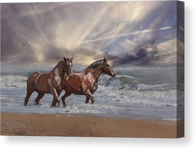 Horse Canvas Print featuring the photograph Strolling on the Beach by Michele A Loftus