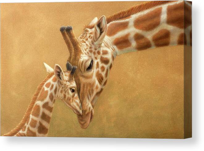 Giraffe Canvas Print featuring the drawing Study of a Parental Bond by James W Johnson