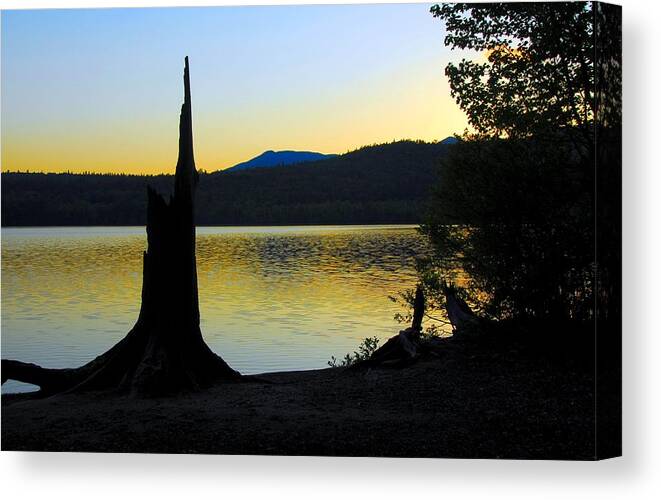 Sunset Canvas Print featuring the photograph Stumped at Sunset by AnnaJanessa PhotoArt
