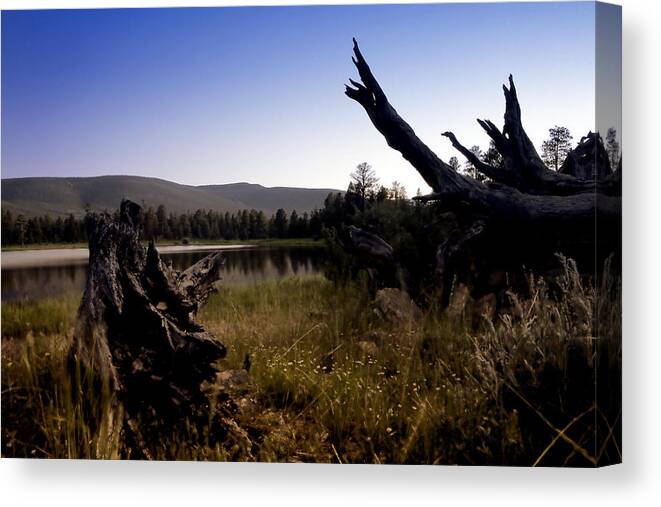 Nature Canvas Print featuring the photograph Stumped by the lake by John K Sampson