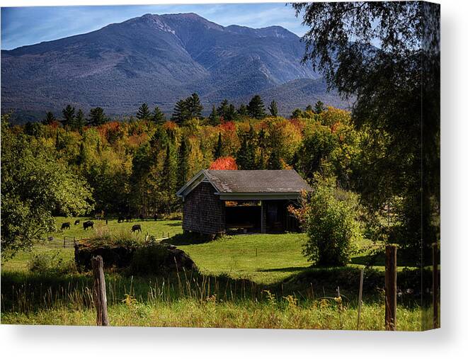 Barn Canvas Print featuring the photograph Sugar Hill NH by Tricia Marchlik