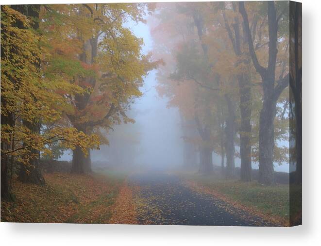 Sugar Maple Canvas Print featuring the photograph Sugar Maples on a Misty Country Road by John Burk
