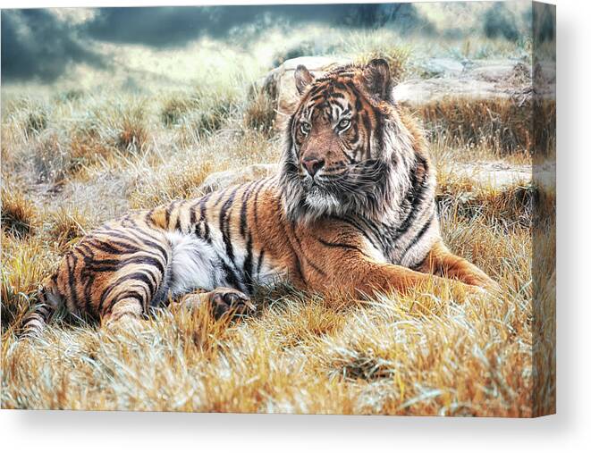 Animals Canvas Print featuring the photograph Sumatran Tiger by Joachim G Pinkawa
