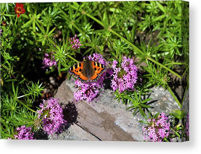 Pretty Canvas Print featuring the photograph Summer Moment by Louise Heusinkveld