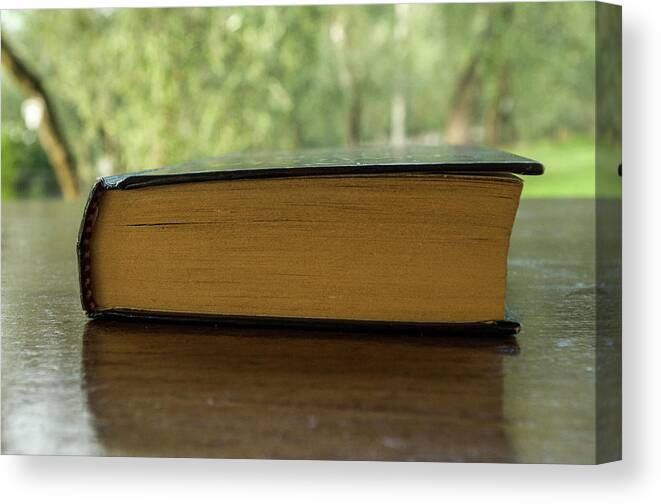 Book Canvas Print featuring the photograph Summer readings by Nicola Aristolao