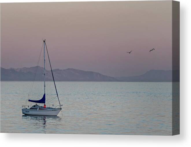 California Ocean Canvas Print featuring the photograph Summer Sailing by Pamela Steege