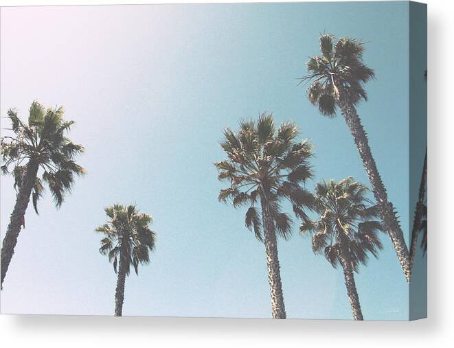 Palm Trees Canvas Print featuring the photograph Summer Sky- by Linda Woods by Linda Woods