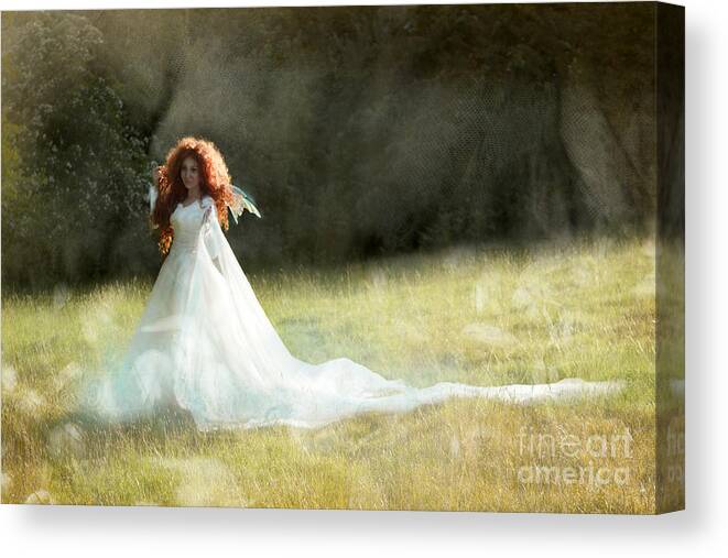 Fairy Canvas Print featuring the photograph Summer time fairy by Ang El