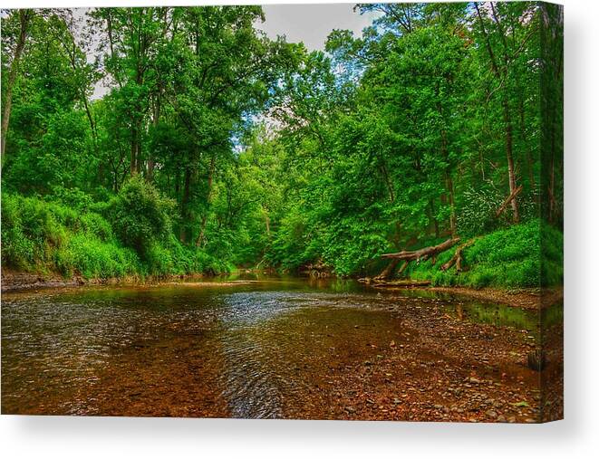 Perspective Canvas Print featuring the photograph SummerBreeze III by Kathi Isserman