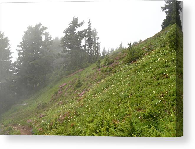 Field Canvas Print featuring the photograph Summit Shroud by Brian O'Kelly