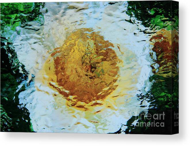 Impressionistic Canvas Print featuring the photograph Sun and Moon Peony Impression by Jeanette French