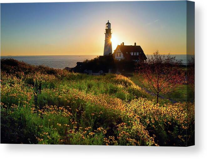 Landscape Canvas Print featuring the photograph Sun and Shadows on Cape Elizabeth by Harriet Feagin