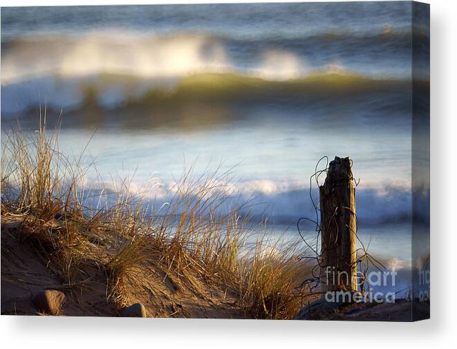 Landscape Canvas Print featuring the photograph Sun Kissed Waves by Minolta D