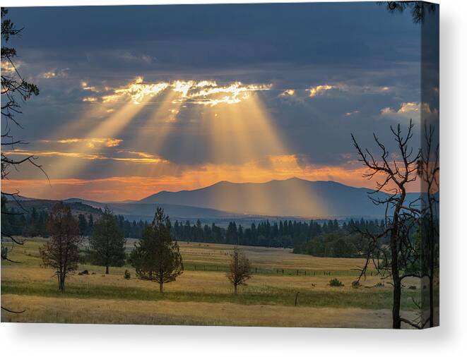 Landscape Canvas Print featuring the photograph Sun Rays In the Valley by Randy Robbins
