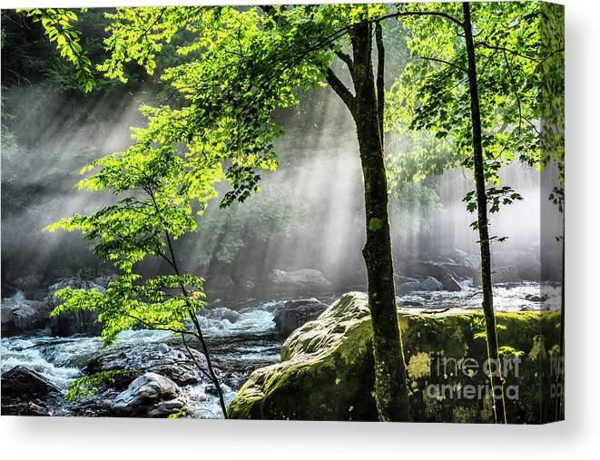 Williams River Canvas Print featuring the photograph Sun Rays on Williams River by Thomas R Fletcher