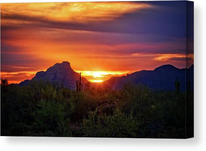 Saguaro Sunset Canvas Print featuring the photograph Sun Setting on Red Mountain by Saija Lehtonen