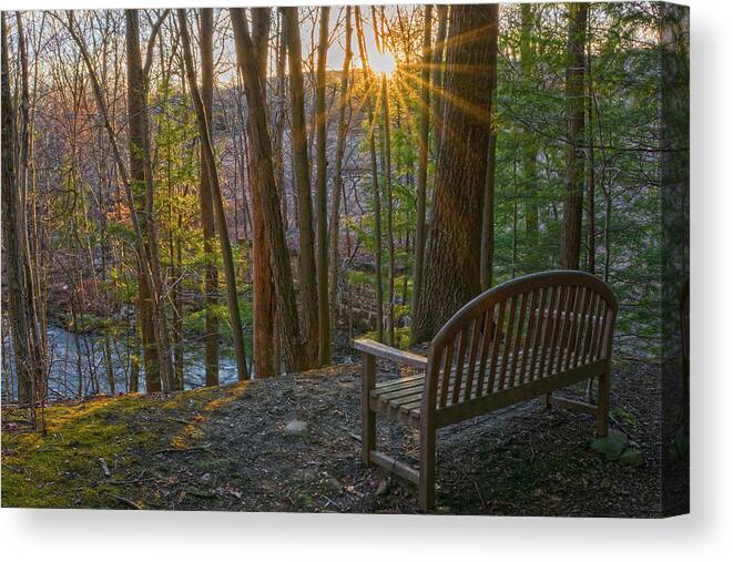 Sunset Canvas Print featuring the photograph Sunbeams At Moonbeams Preserve by Angelo Marcialis