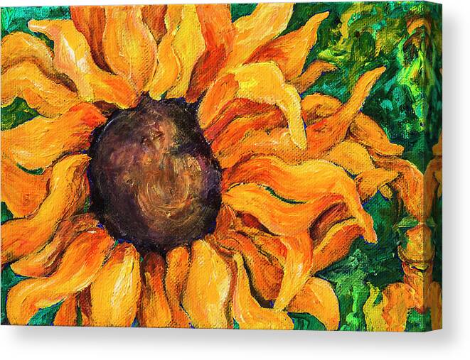 Sunflower Canvas Print featuring the painting Sunflower #5 by Sally Quillin