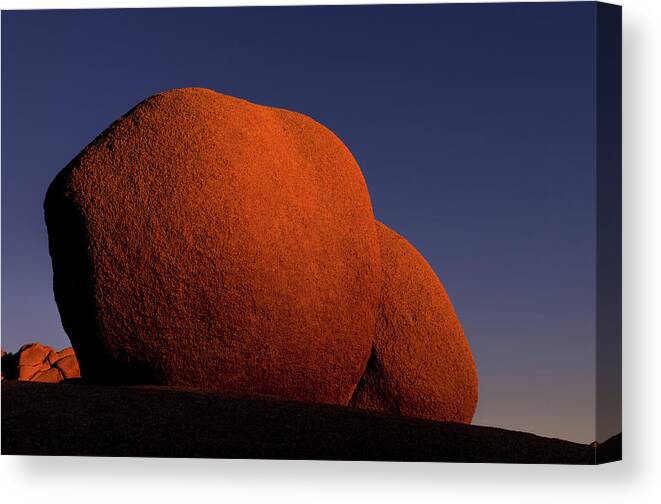 Joshua Tree National Park Canvas Print featuring the photograph Sunkissed Revisited by TM Schultze