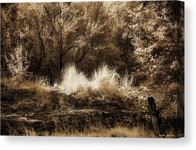 New Mexico Canvas Print featuring the photograph Sunlit Beauty by Michael McKenney