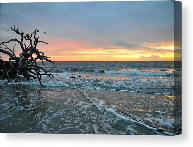 Driftwood Beach Canvas Print featuring the photograph Sunrise at Driftwood Beach 1.3 by Bruce Gourley