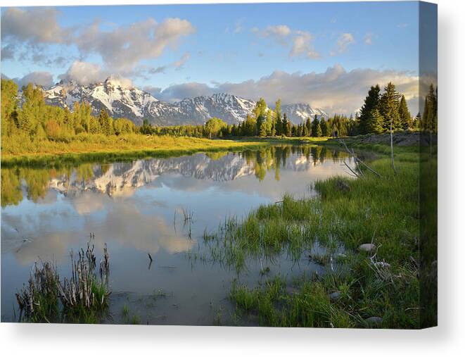 Grand Teton National Park Canvas Print featuring the photograph Sunrise at Schwabacher Landing by Ray Mathis