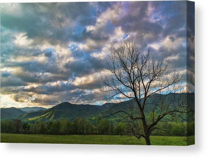 Landscapes Canvas Print featuring the photograph Sunrise Cades Cove by Roberta Kayne