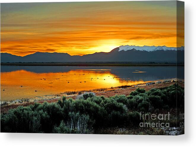 Great Salt Lake Canvas Print featuring the photograph Sunrise on Antelope Island by Dennis Hammer