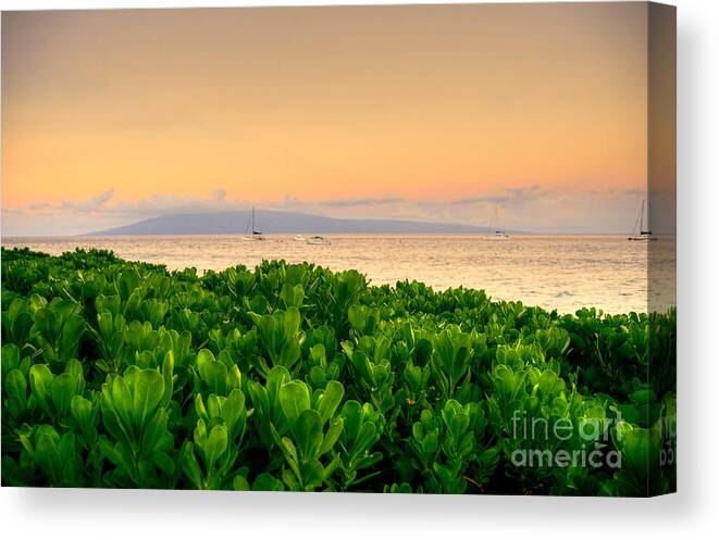 Sunrise Canvas Print featuring the photograph Sunrise On Maui by Kelly Wade