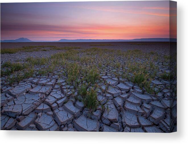 Landscape Canvas Print featuring the photograph Sunrise on the Playa by Andrew Kumler